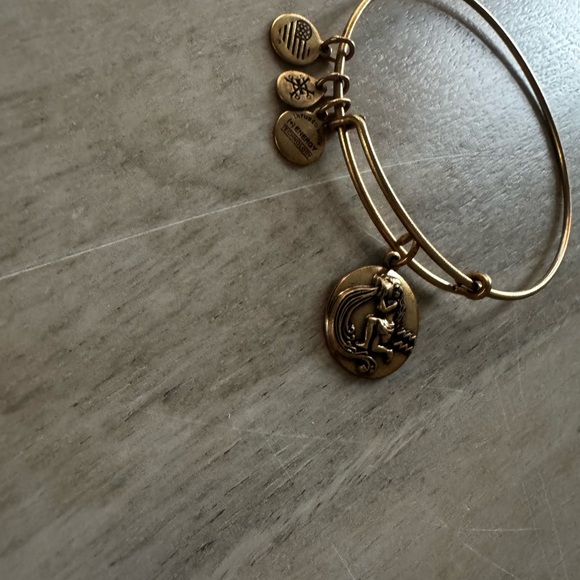 Alex and Ani Gold Aquarius Charm Bracelet - Picture 3 of 4